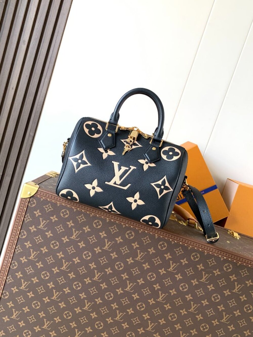 Louis Vuitton bag